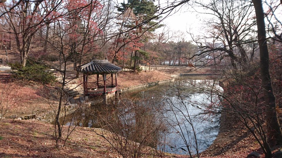 Photo of Changdeokgung Palace and Huwon, Yulgok-ro, South Korea by Dianne Goh