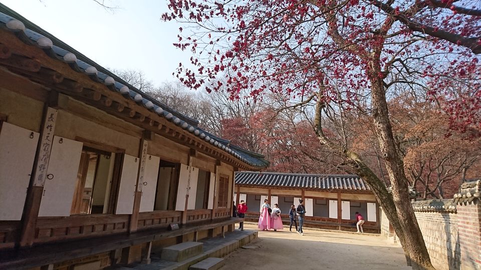 Photo of Visiting South Korea in Winter (without skiing) by Dianne Goh