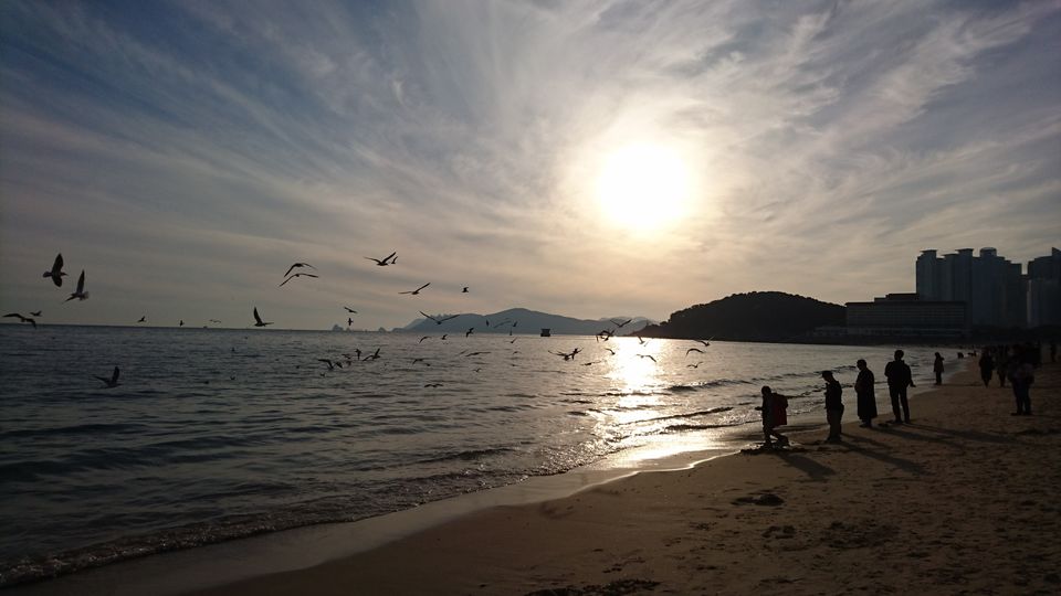 Photo of Haeundae Beach, Haeundae-gu, Busan, South Korea by Dianne Goh