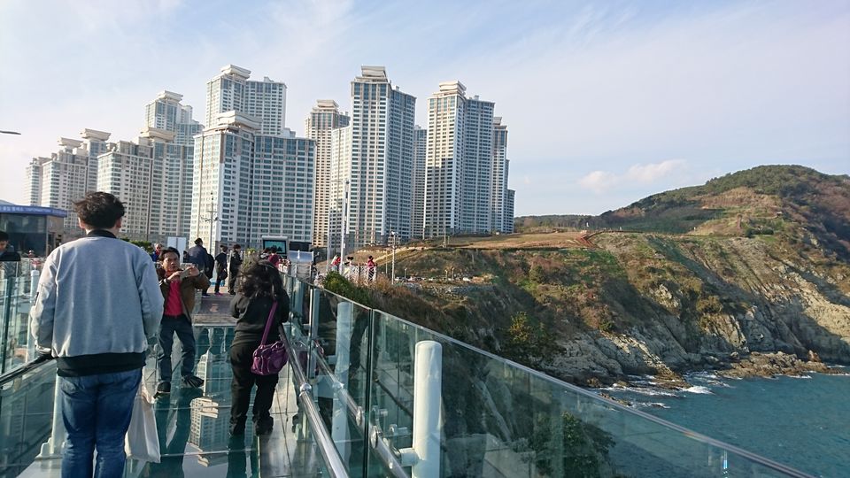 Photo of Visiting South Korea in Winter (without skiing) by Dianne Goh