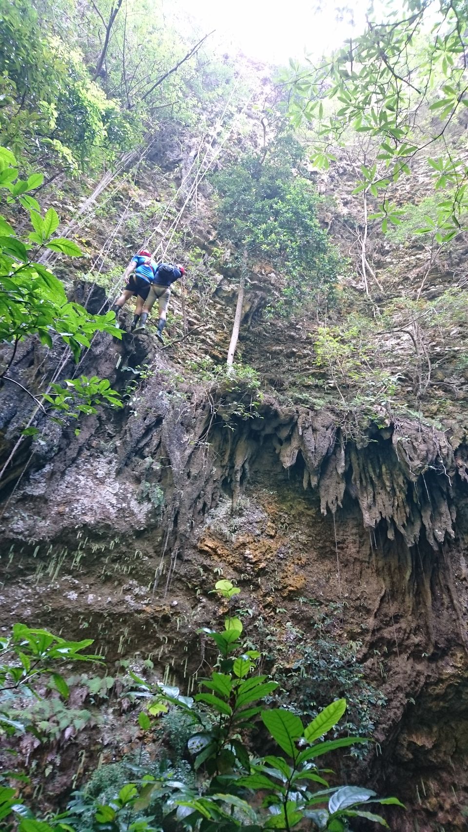 Photo of Goa jomblang, Pacarejo, Gunung Kidul Regency, Special Region of Yogyakarta, Indonesia by Dianne Goh