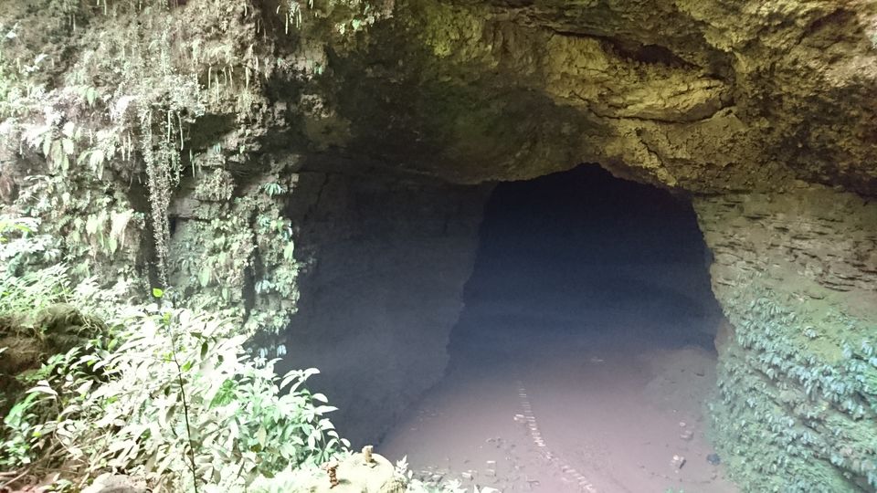 Photo of Goa jomblang, Pacarejo, Gunung Kidul Regency, Special Region of Yogyakarta, Indonesia by Dianne Goh