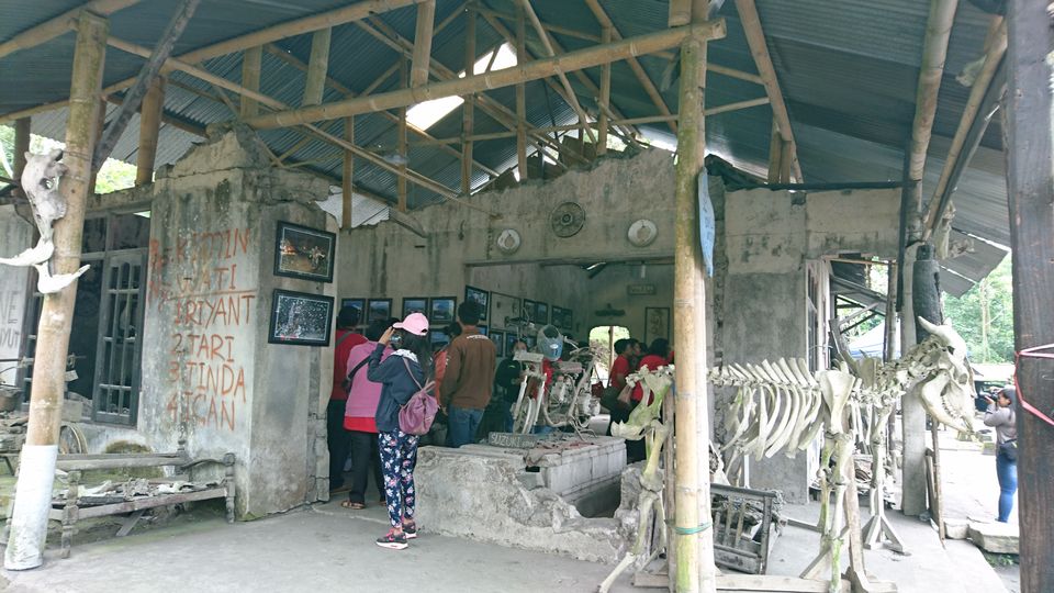 Photo of One Week in Yogjakarta & Solo, Indonesia by Dianne Goh