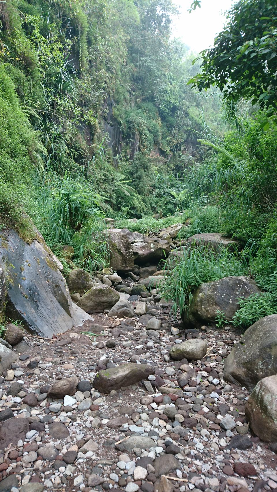 Photo of One Week in Yogjakarta & Solo, Indonesia by Dianne Goh