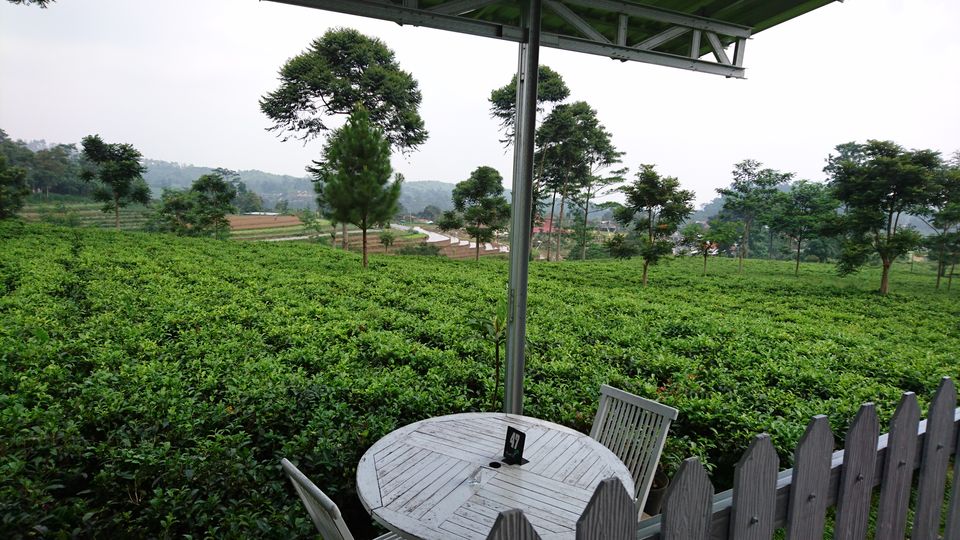 Photo of Ndoro Donker Tea House, Jalan Karangpandan-Ngargoyoso, Puntukrejo, Karanganyar Regency, Central Java, Indonesia by Dianne Goh