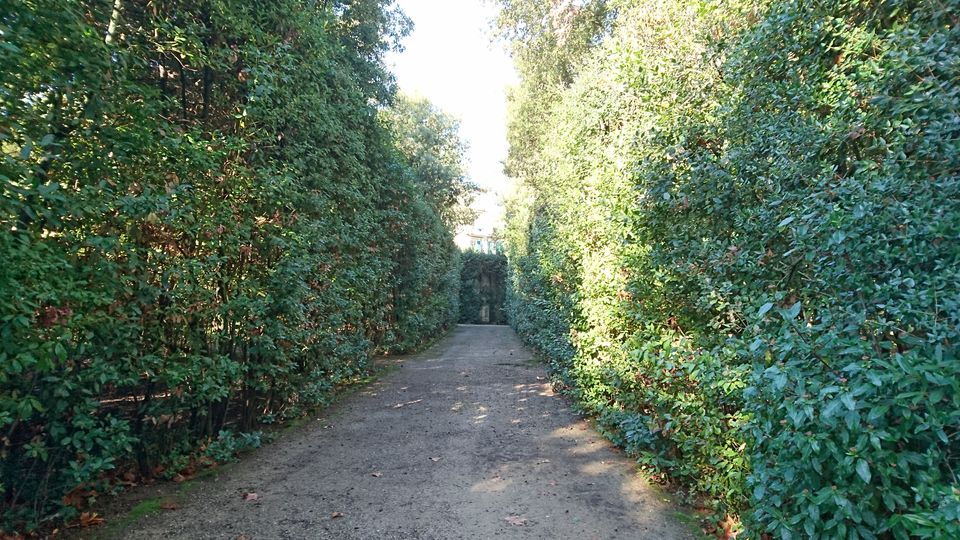 Photo of Boboli Gardens, Florence, Metropolitan City of Florence, Italy by Dianne Goh