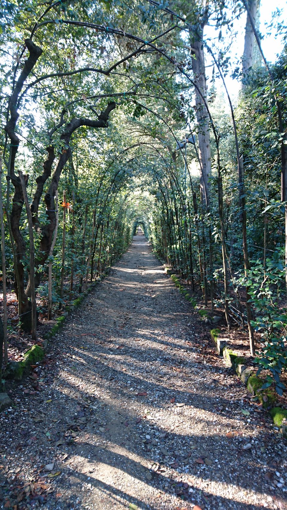 Photo of Boboli Gardens, Florence, Metropolitan City of Florence, Italy by Dianne Goh