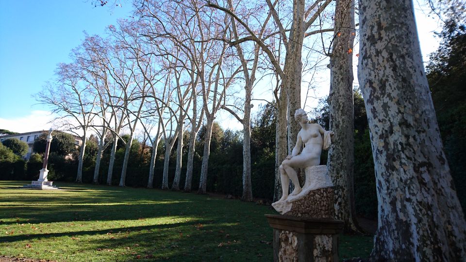 Photo of Boboli Gardens, Florence, Metropolitan City of Florence, Italy by Dianne Goh
