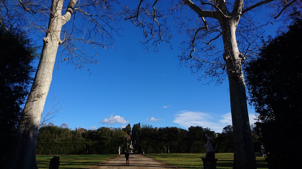 Photo of Boboli Gardens, Florence, Metropolitan City of Florence, Italy by Dianne Goh