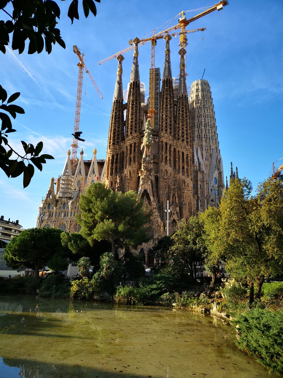 Photo of La Sagrada Familia, Carrer de Mallorca, Barcelona, Spain by Dianne Goh