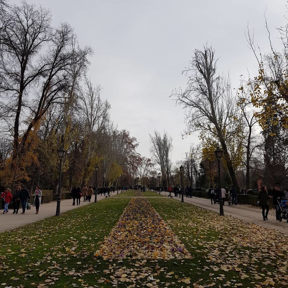 Photo of Retiro, Madrid, Spain by Dianne Goh