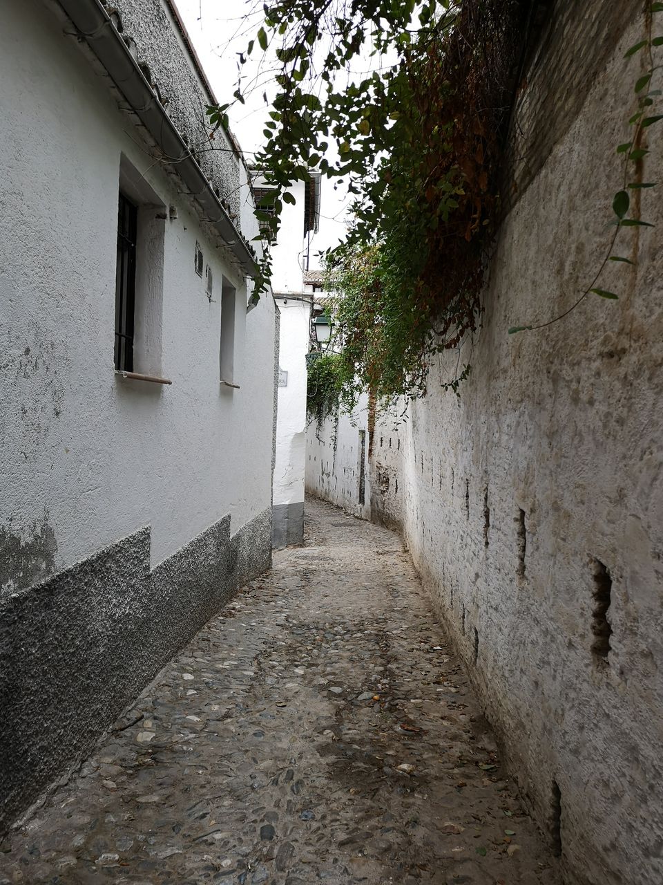 Photo of Magical Spain and Portugal in December by Dianne Goh