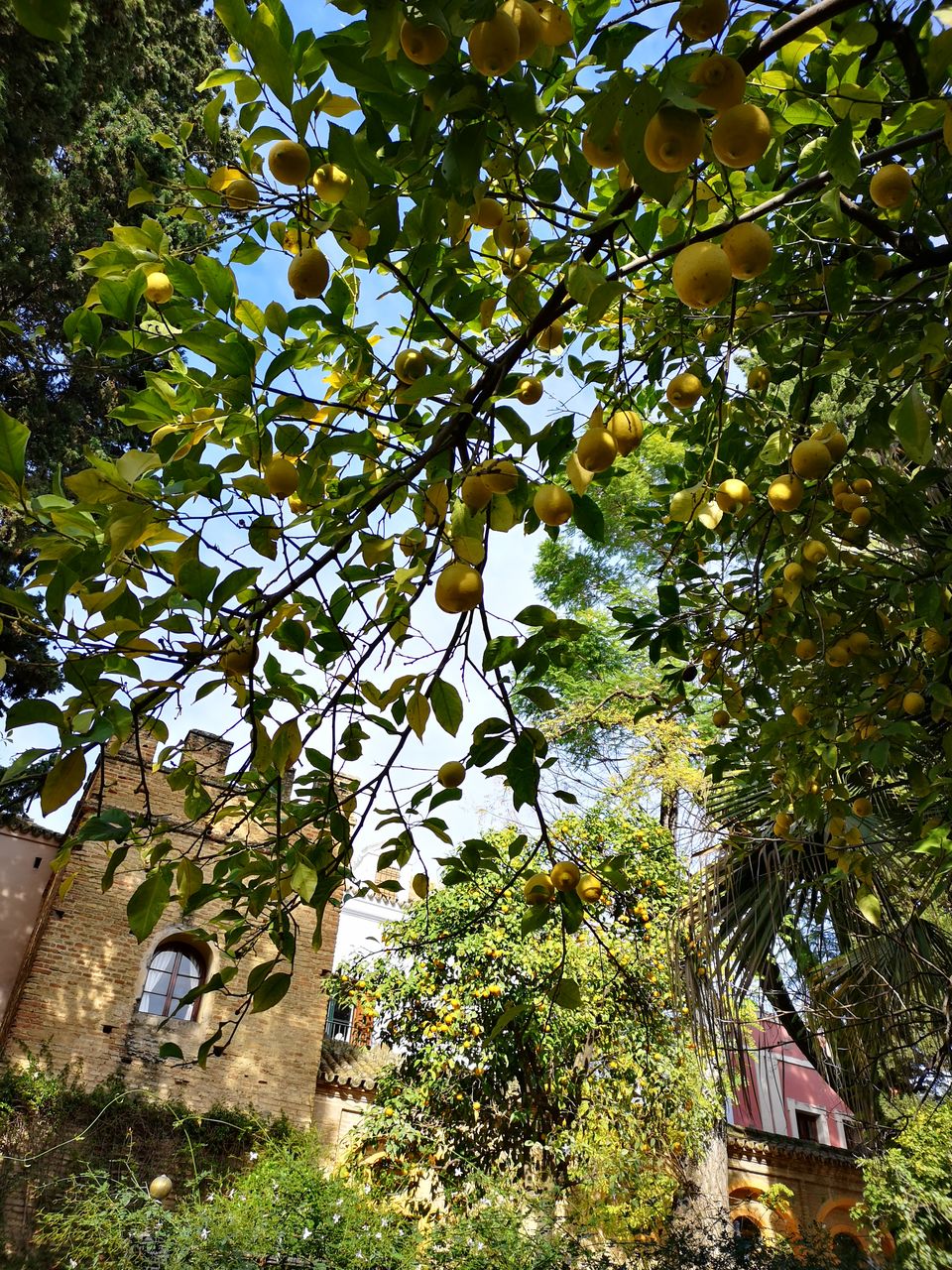Photo of Magical Spain and Portugal in December by Dianne Goh