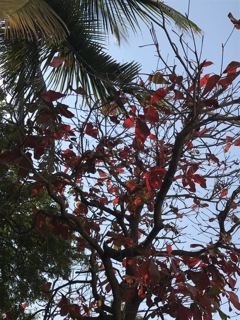 Photo of Diu, Daman and Diu, India by Shachi Sanghvi