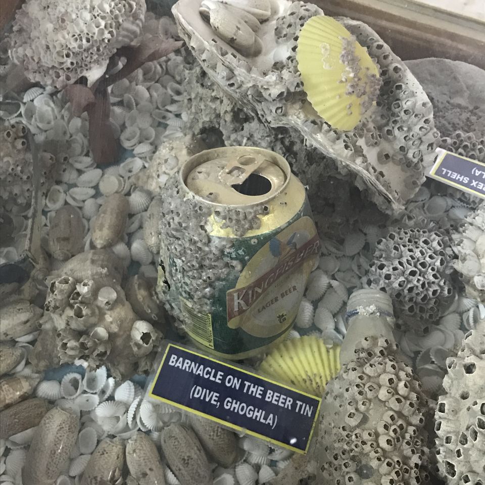 Photo of India Diaries| Exploring Diu by Shachi Sanghvi