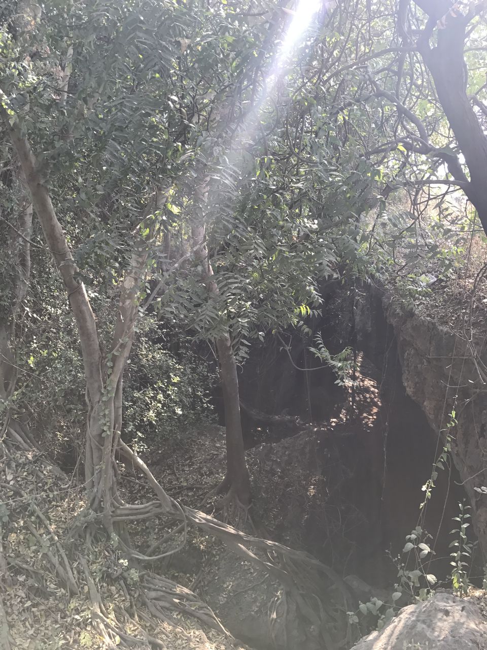 Photo of India Diaries| Exploring Diu by Shachi Sanghvi