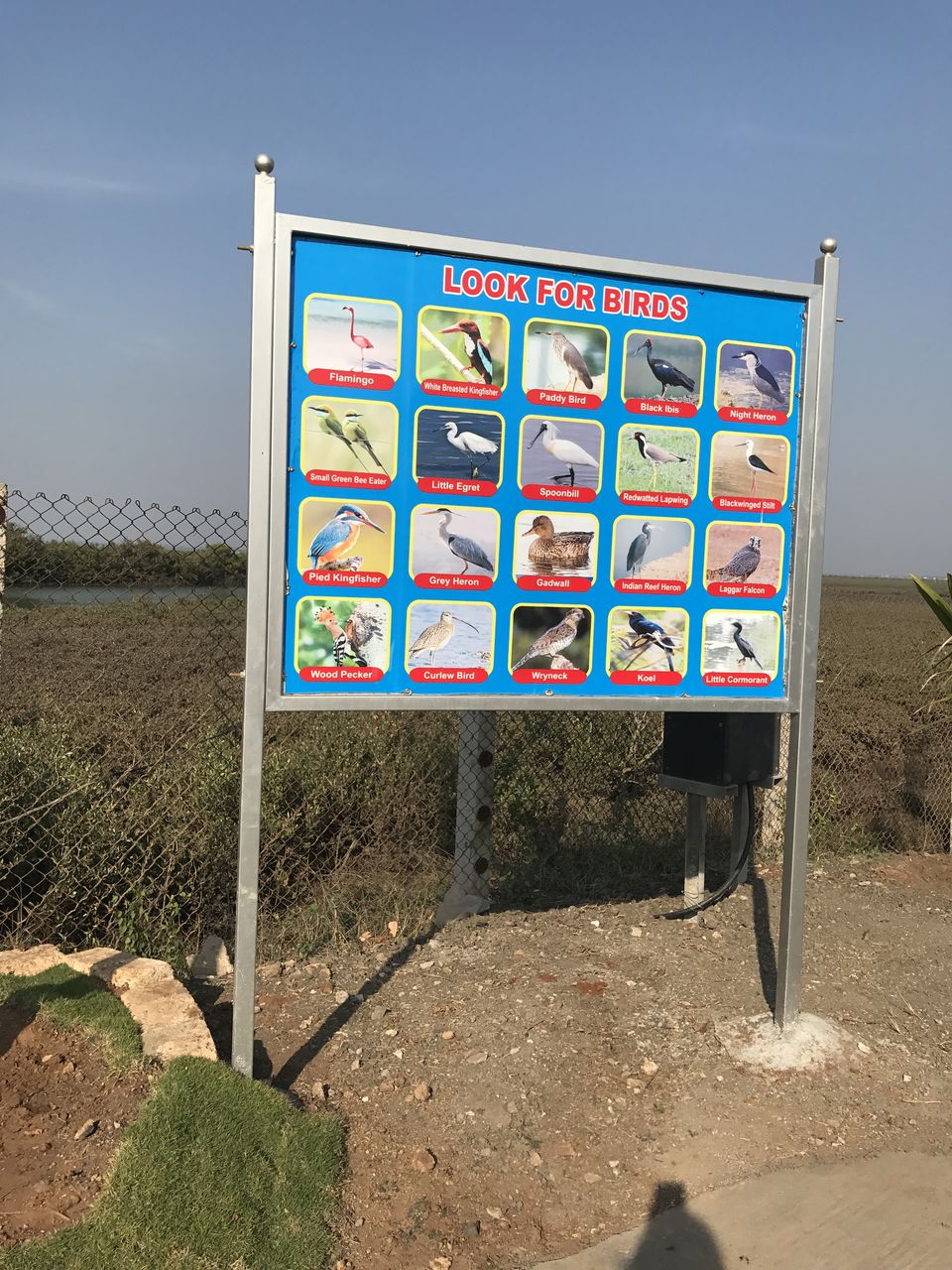 Photo of India Diaries| Exploring Diu by Shachi Sanghvi
