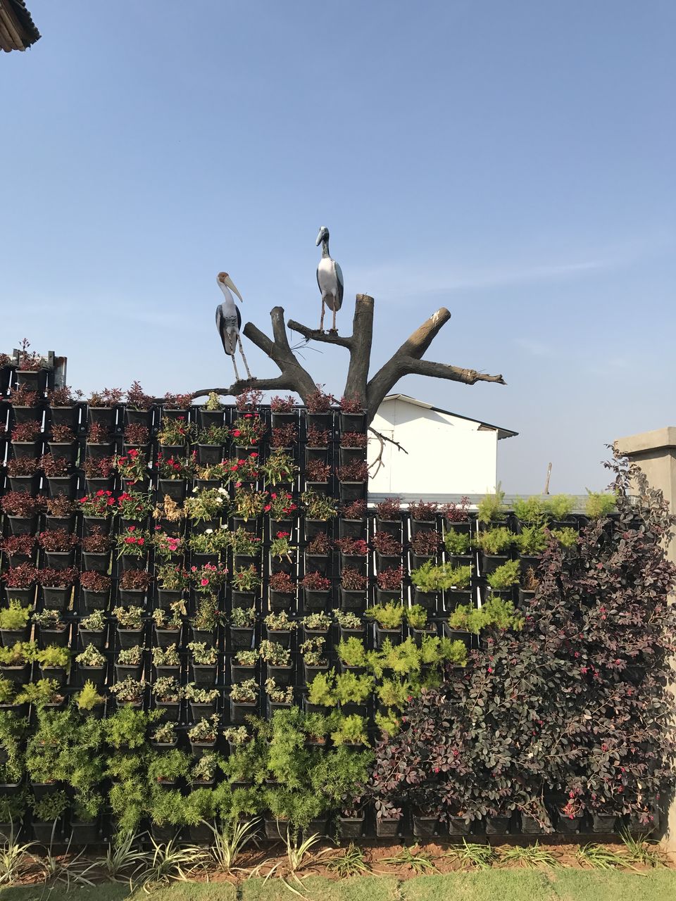 Photo of India Diaries| Exploring Diu by Shachi Sanghvi