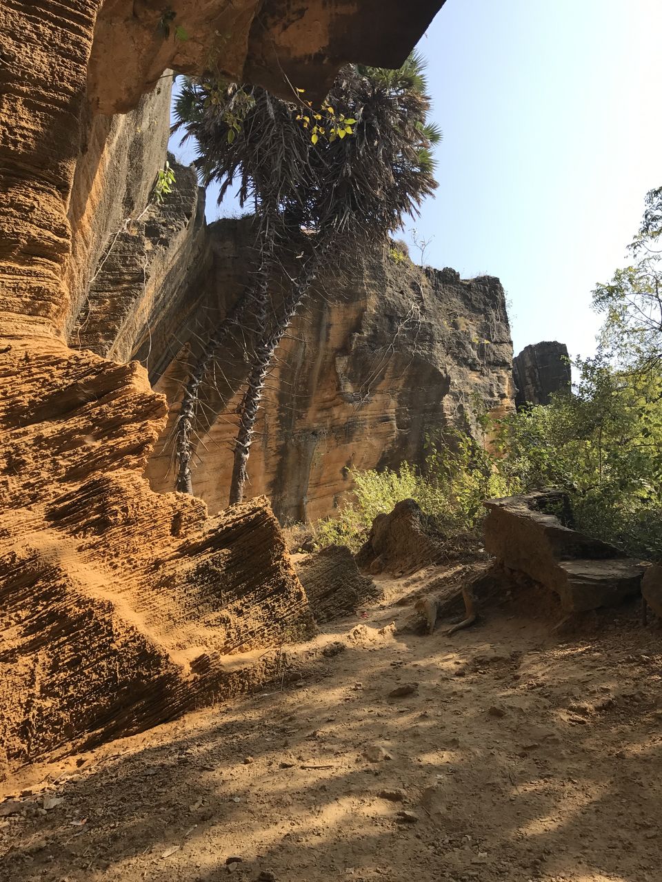 Photo of India Diaries| Exploring Diu by Shachi Sanghvi