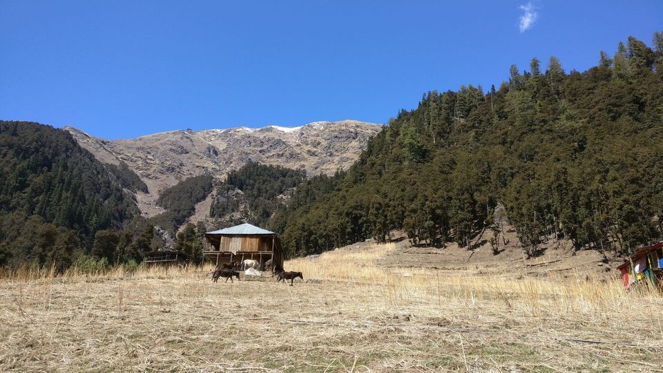 Photo of INR 5500, 5Days: Magic Valley-Malana-Toshiko-Kasol 2/5 by Natasha Sharma