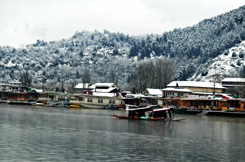 Photo of Dal Lake, Dal Lake, Srinagar by Niraz Nizam