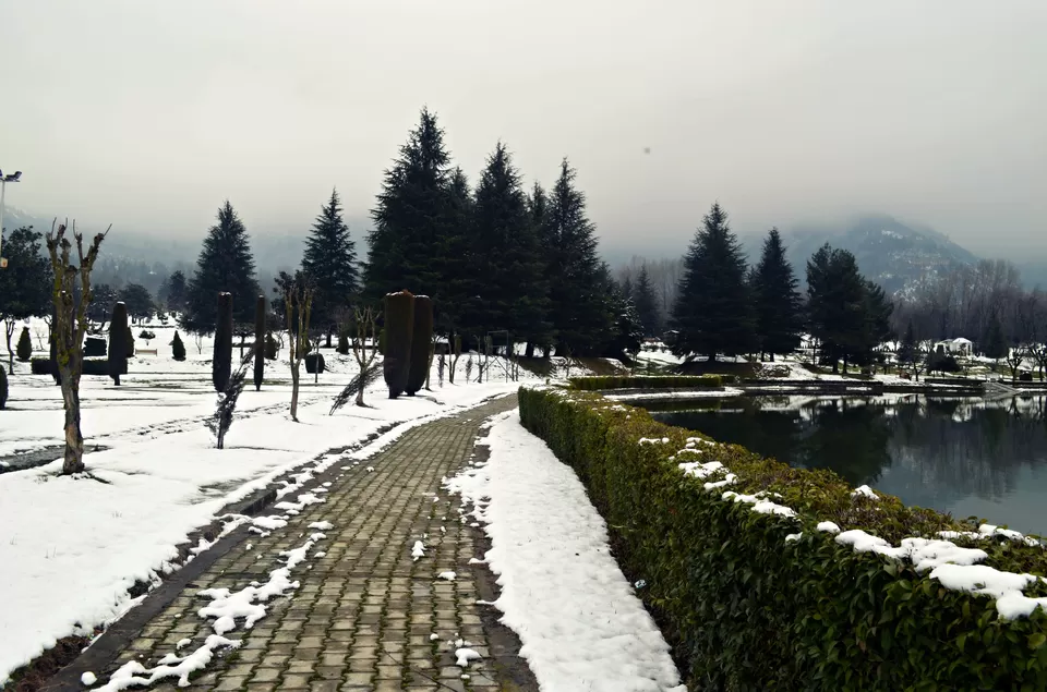 Photo of Nishat, Nishat, Srinagar by Niraz Nizam