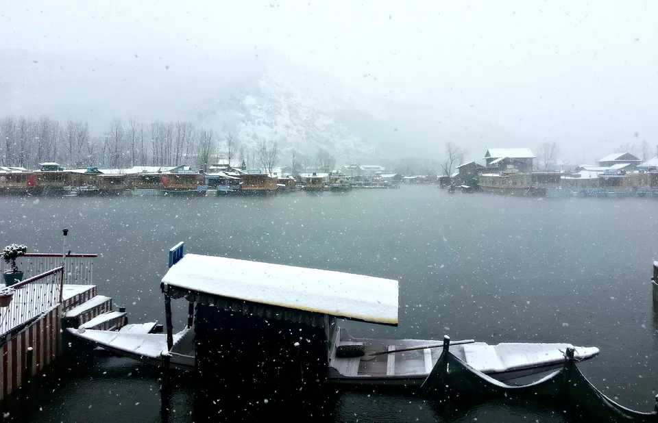 Photo of Dal Lake, Dal Lake, Srinagar by Niraz Nizam