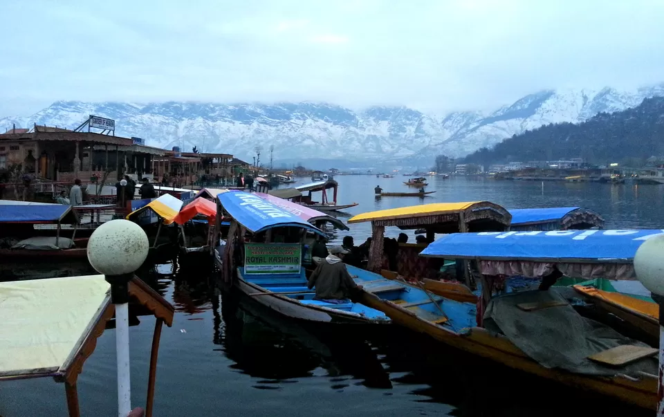 Photo of Dal Lake, Dal Lake, Srinagar by Niraz Nizam