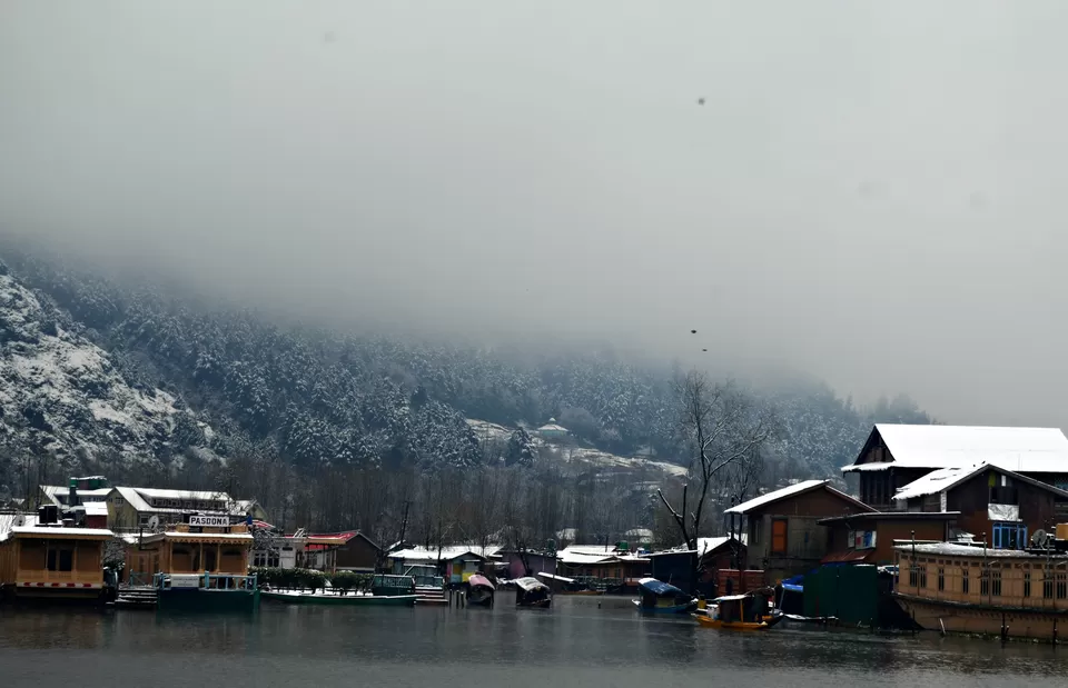 Photo of Dal Lake, Dal Lake, Srinagar by Niraz Nizam