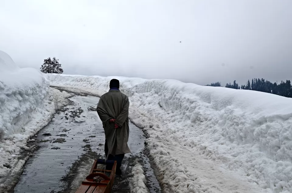 Photo of Gulmarg, Gulmarg by Niraz Nizam