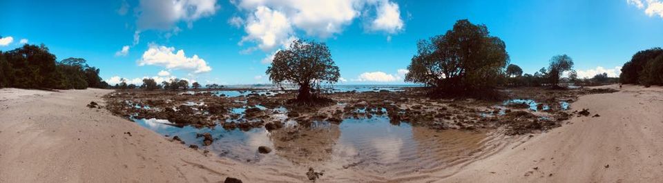 Photo of Incredible Blue Andaman! by Mrunal