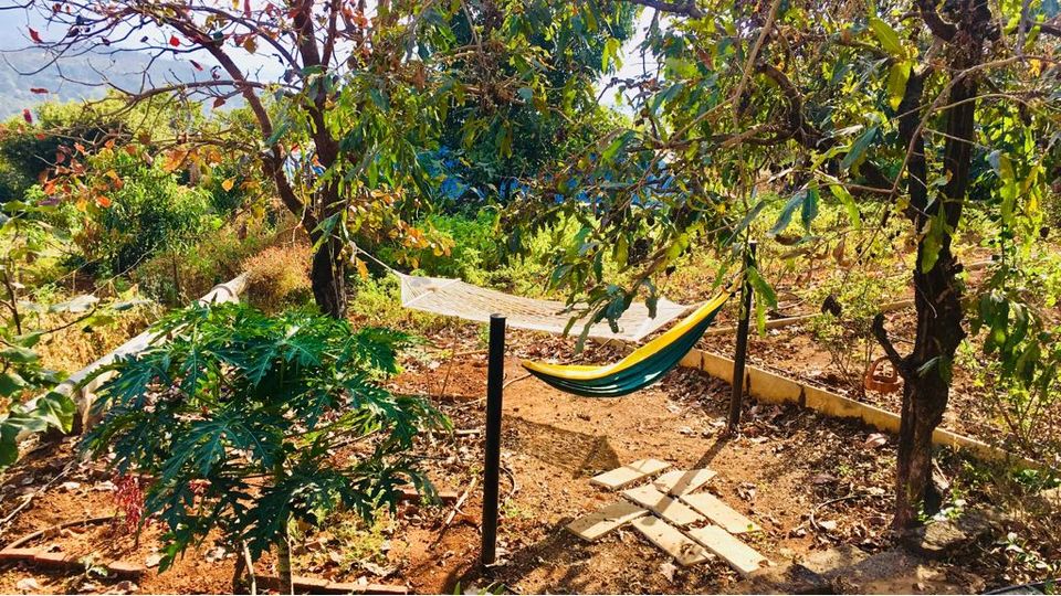 Photo of Jaltarang 5/6 by Mrunal