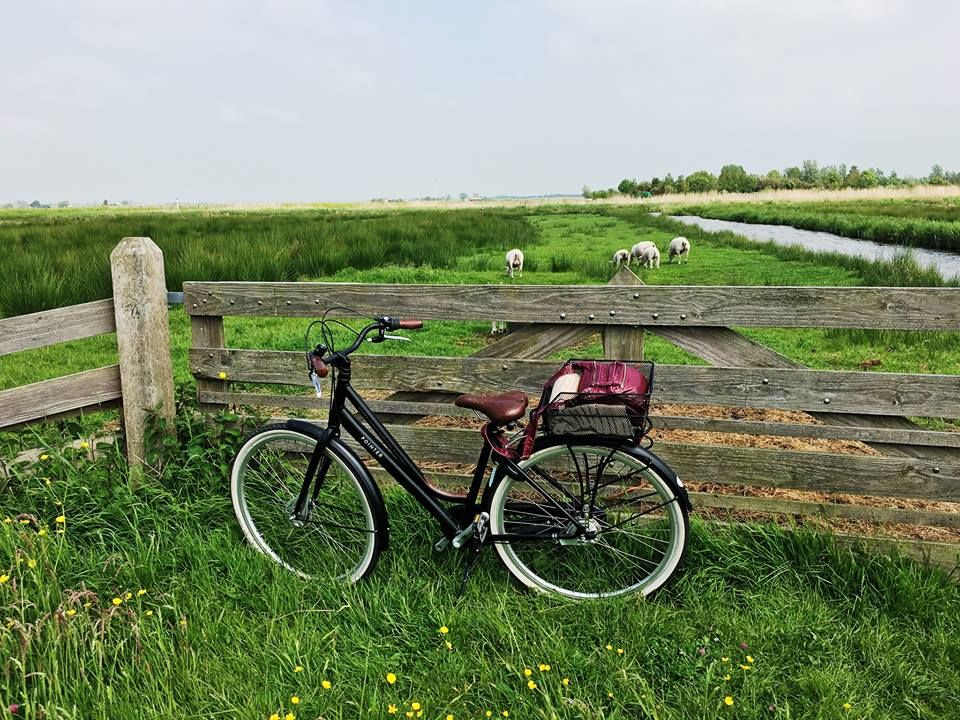 Photo of Netherlands - Going Dutch! by Mrunal