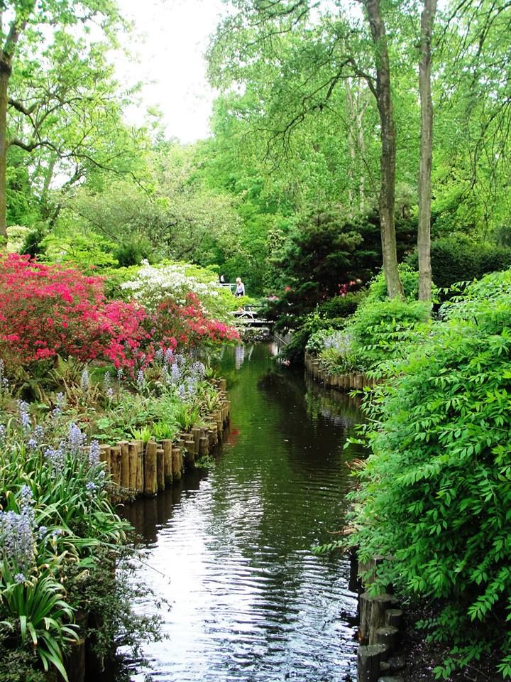 Photo of Netherlands - Going Dutch! by Mrunal