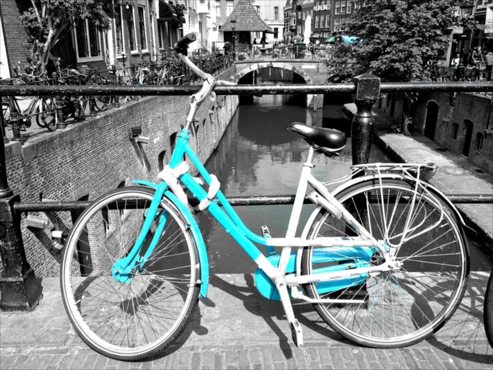 Photo of Netherlands - Going Dutch! by Mrunal