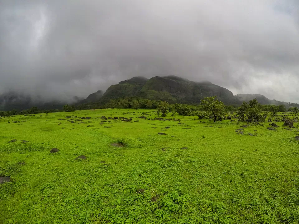 Photo of Western Ghats, Kannan Devan Hills, Kerala by Ritwij Anshuman