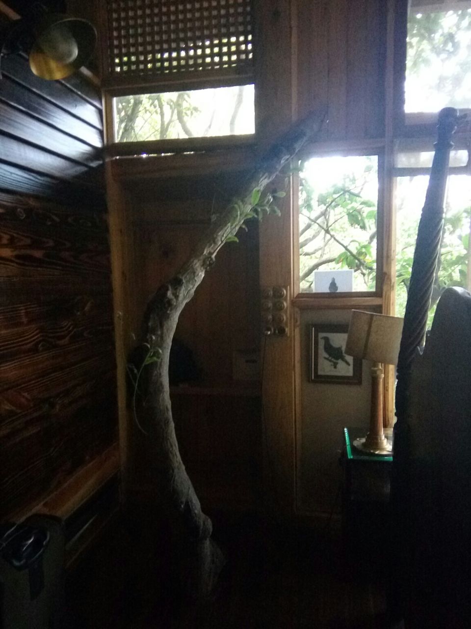 Photo of Lonavala, Maharashtra, India by Bhakti Ramaswamy