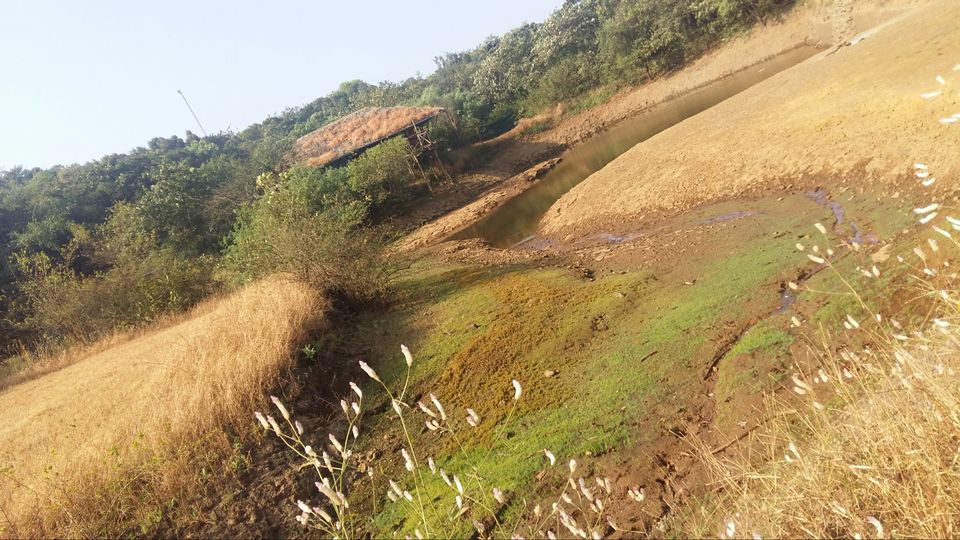 Photo of Lonavala, Maharashtra, India by Bhakti Ramaswamy