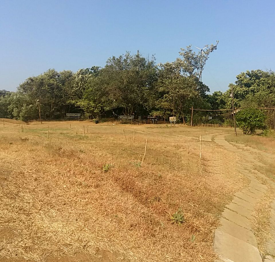 Photo of Lonavala, Maharashtra, India by Bhakti Ramaswamy