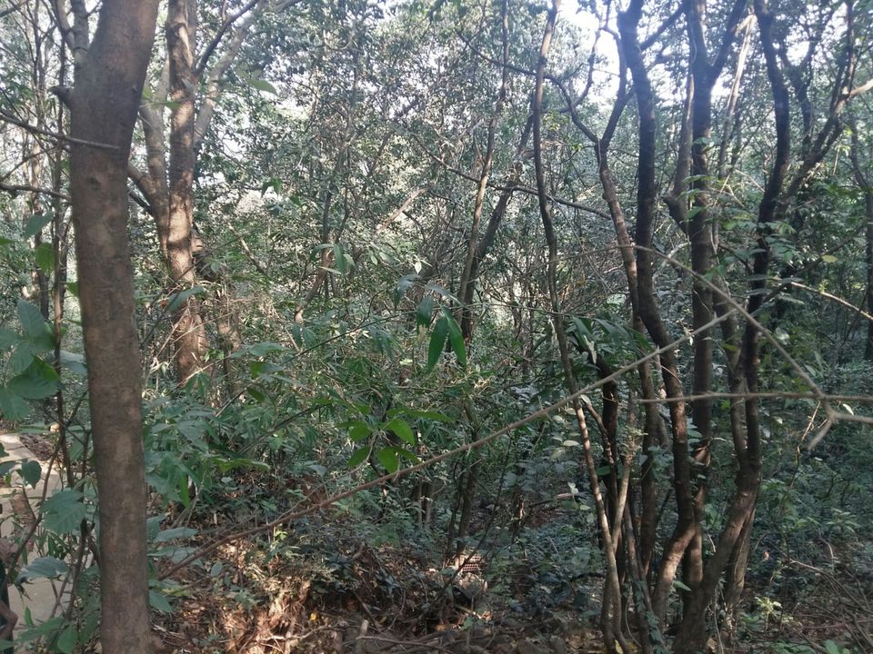Photo of Lonavala, Maharashtra, India by Bhakti Ramaswamy