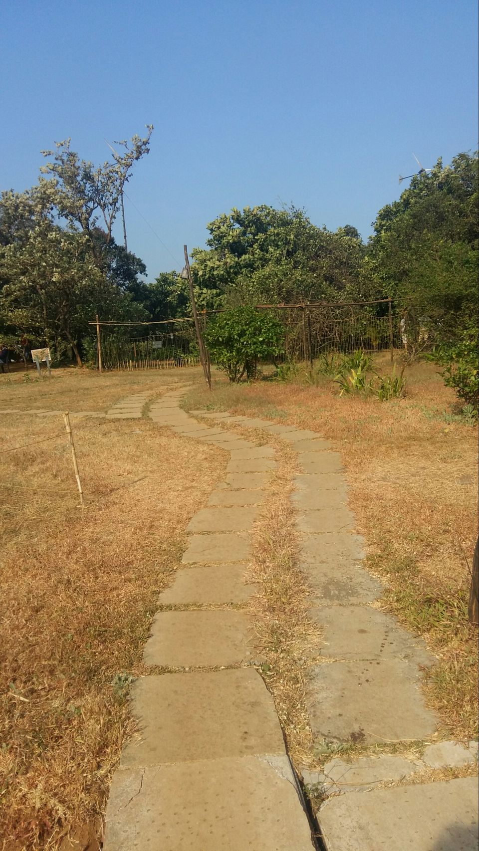 Photo of Lonavala, Maharashtra, India by Bhakti Ramaswamy