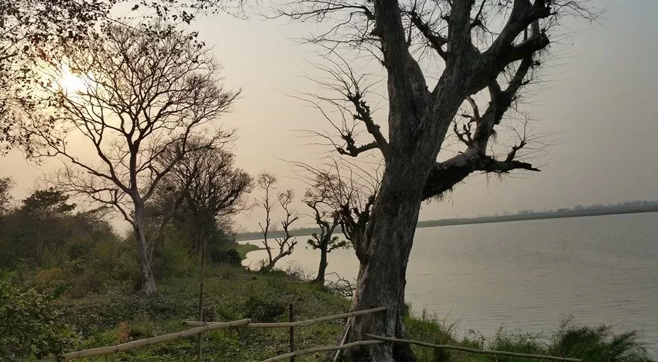 Photo of Kaziranga National Park, Kanchanjuri, Assam, India by Amrita Kapoor