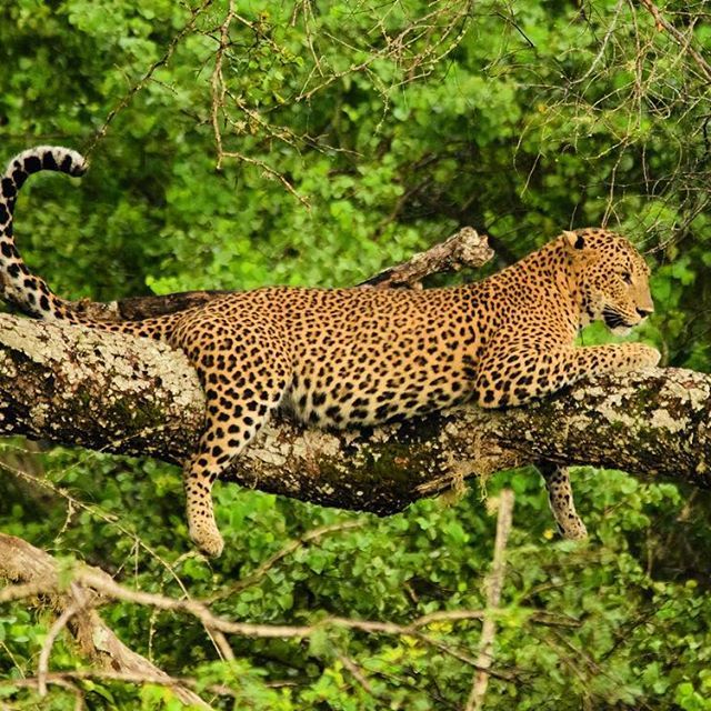 Photo of Best Weekend Getaway Destinations in Sri Lanka by Shanela Anthony