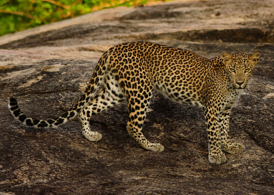 Photo of Best Weekend Getaway Destinations in Sri Lanka by Shanela Anthony