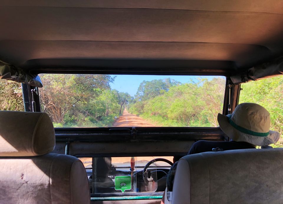 Photo of Yala, Western Province, Sri Lanka by Shanela Anthony