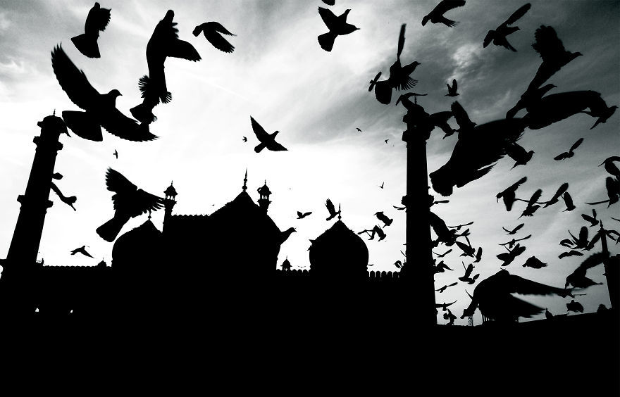 Photo of by Devashish Gaur