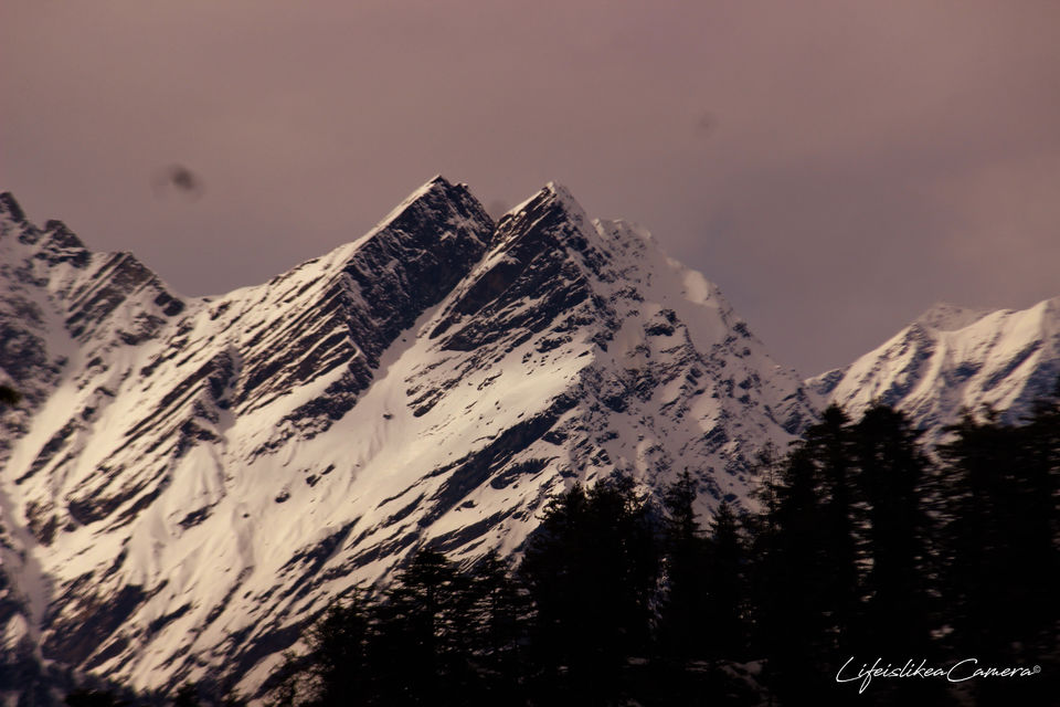 Photo of Lesser known Sethan near Manali by Soma Ghosh