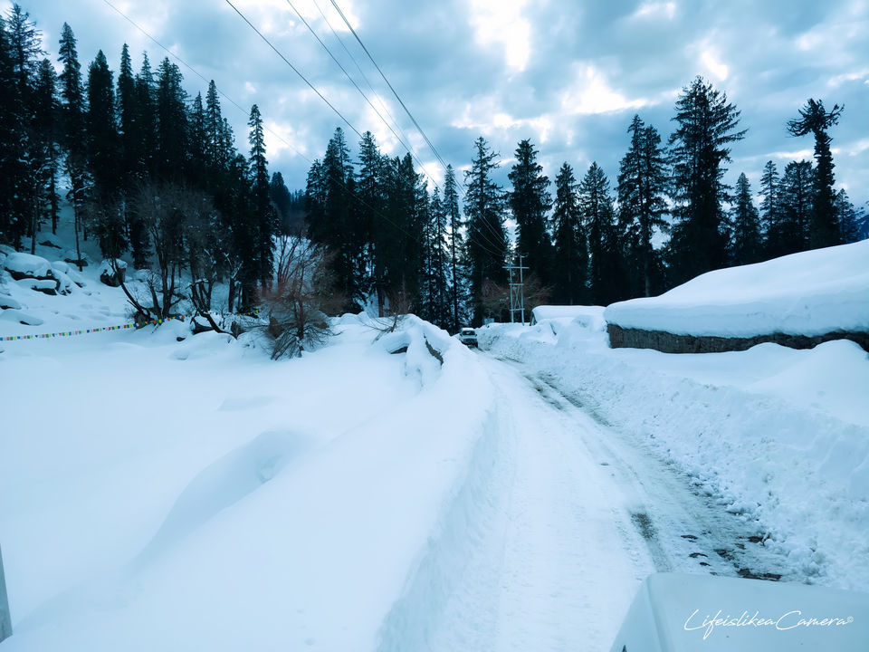 Photo of Lesser known Sethan near Manali by Soma Ghosh