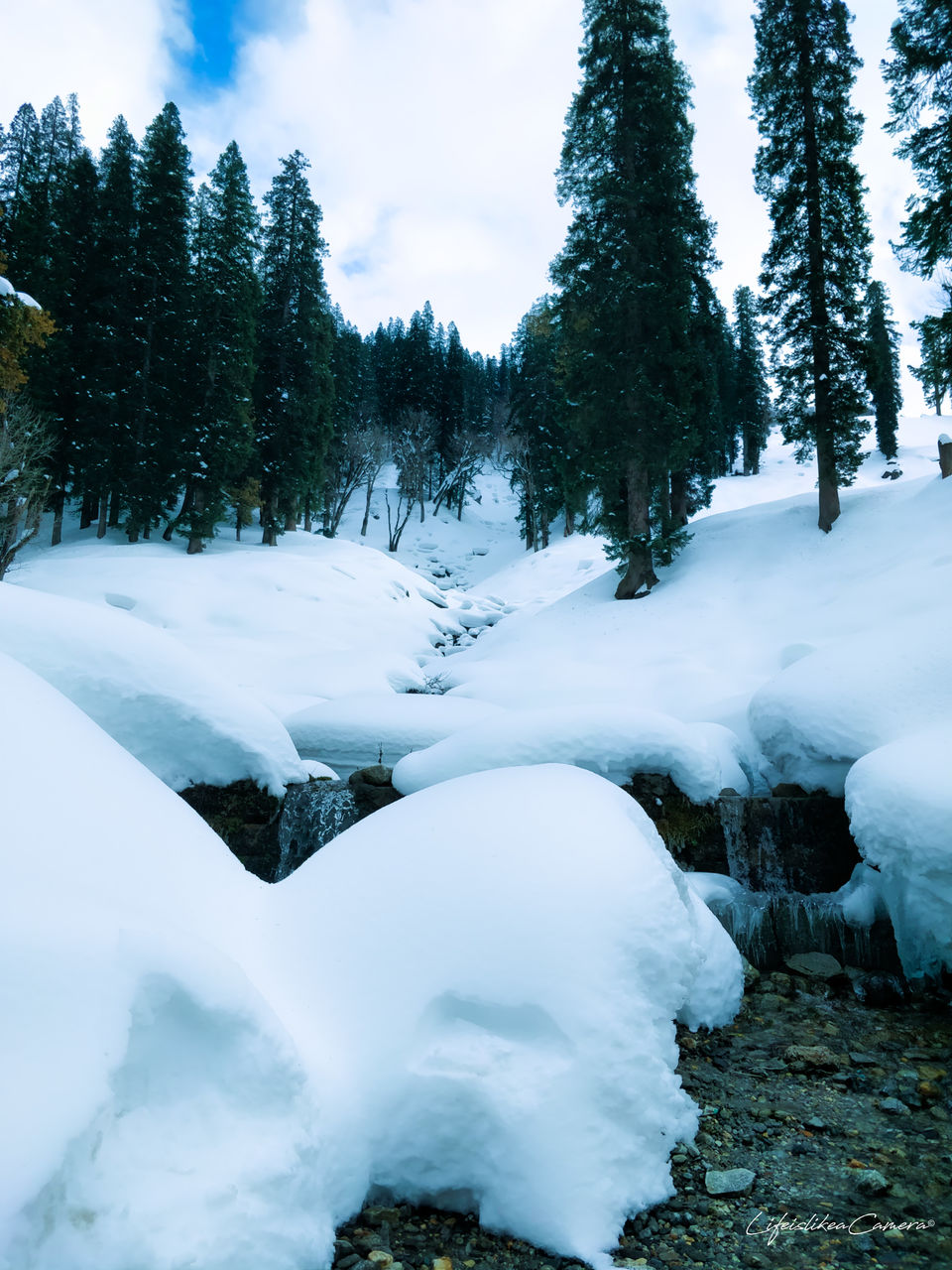 Photo of Lesser known Sethan near Manali by Soma Ghosh