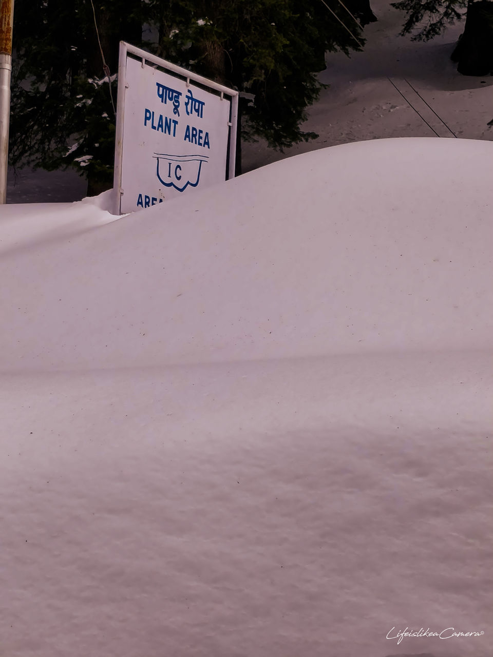Photo of Lesser known Sethan near Manali by Soma Ghosh